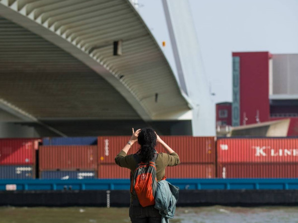 什么情况下出口货物被查验的概率会变高？